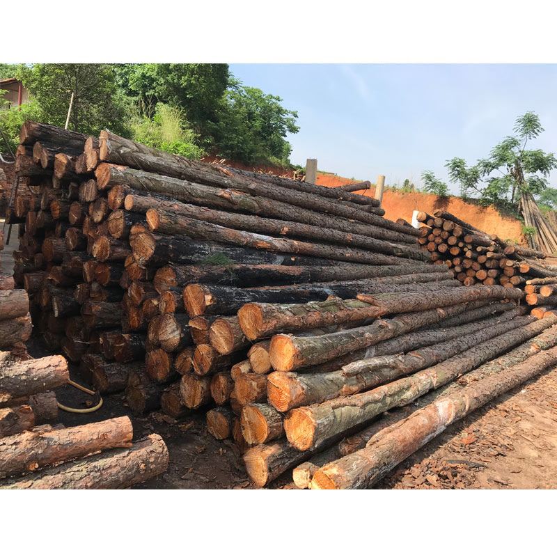 松木樁使用注意事項有哪些？