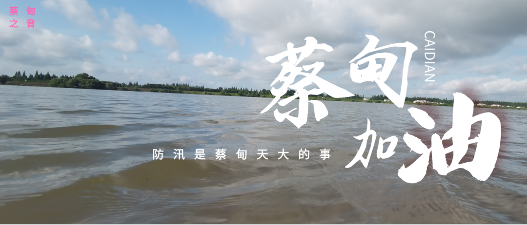 蔡甸區(qū)啟動(dòng)防汛ⅰ級(jí)應(yīng)急響應(yīng)，做好鋪土釘防汛木樁工作