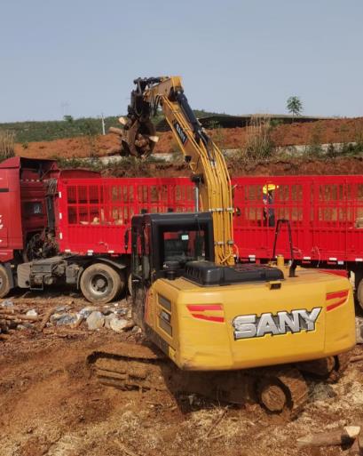 松木原木、松木條，漲勢如虹，現(xiàn)在搶購最劃算(附松木原木供應廠家介紹)