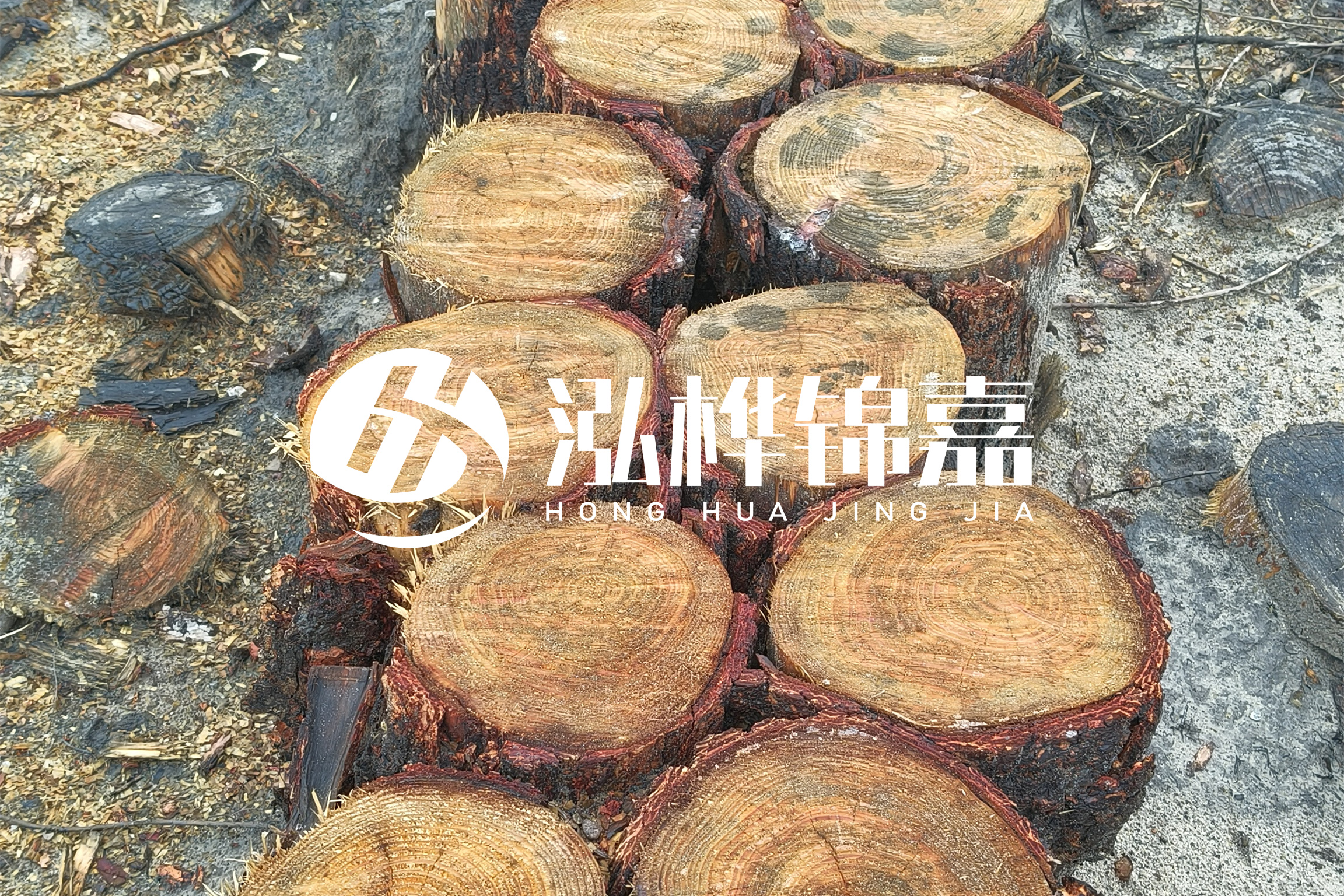 浙江臺州有清淤的公司嗎？浙江臺州有清淤施工隊嗎？