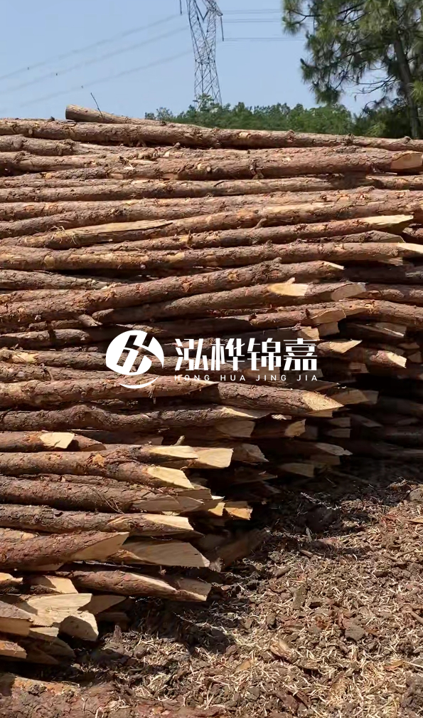 鄂州挖機(jī)打木樁專業(yè)施工-如何選擇高質(zhì)量的河道杉木樁？