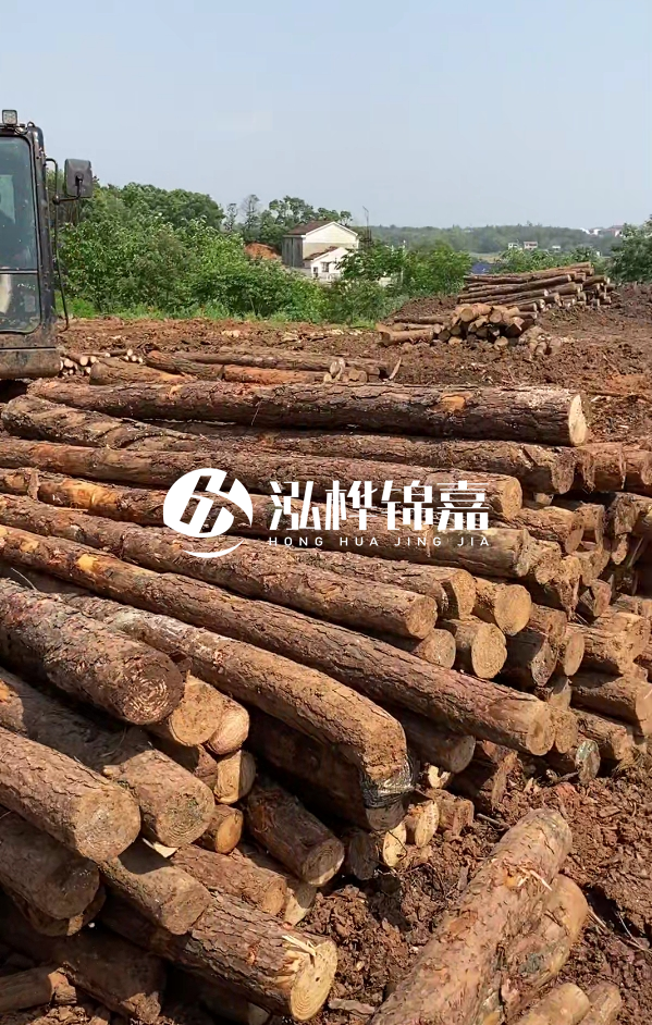 荊州挖機(jī)打木樁專業(yè)施工-河道打樁木被水浸泡后會不會變形嚴(yán)重？