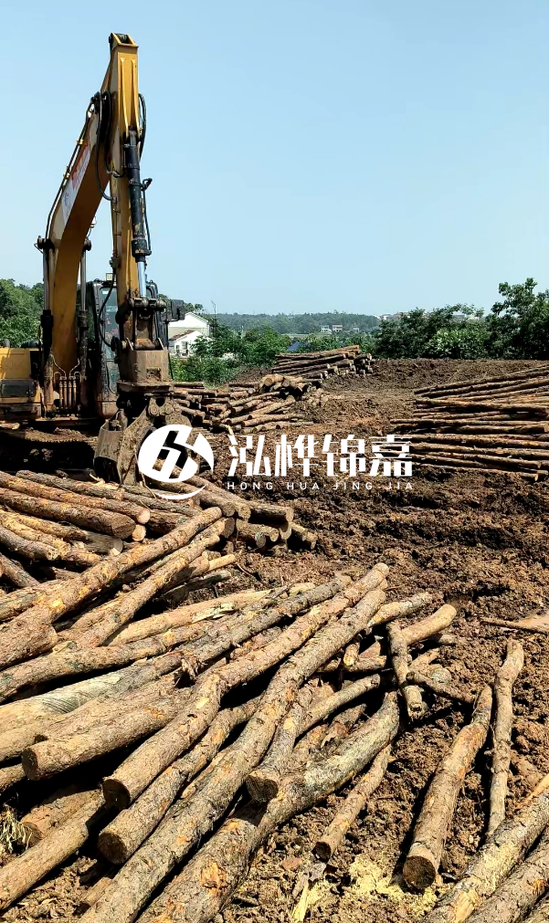 江門松木樁源頭廠家-河道木樁的防腐處理有哪些方法？