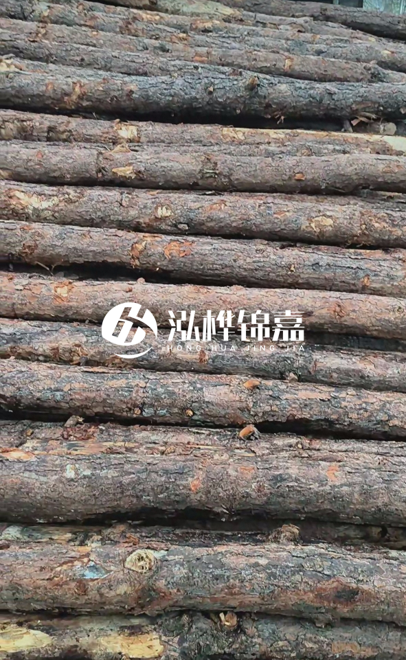 陽(yáng)江松木樁源頭廠家-哪一種打樁木最便宜？