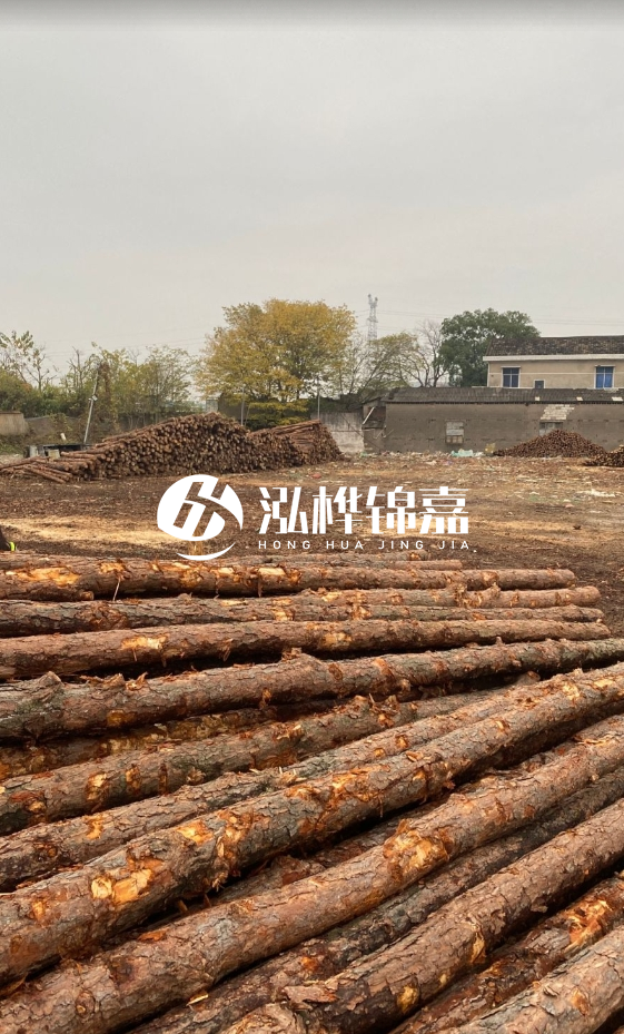 欽州松木樁源頭廠家-松木樁河道治理相比其他材料有何優(yōu)勢？