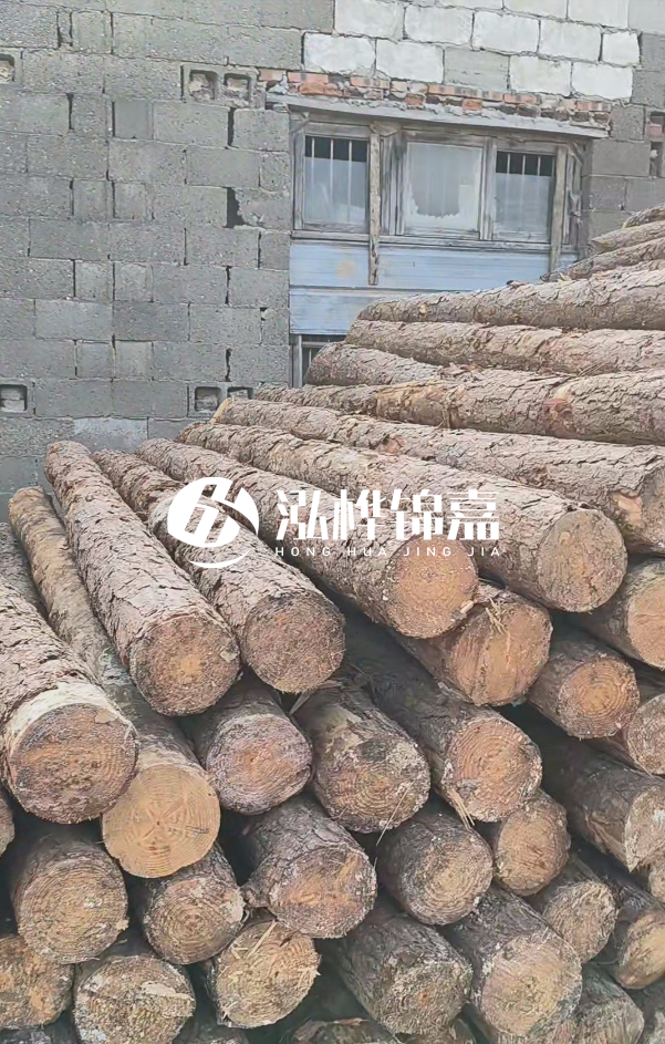 2025最新松木樁價(jià)格揭秘：松木樁一方到底多少錢？