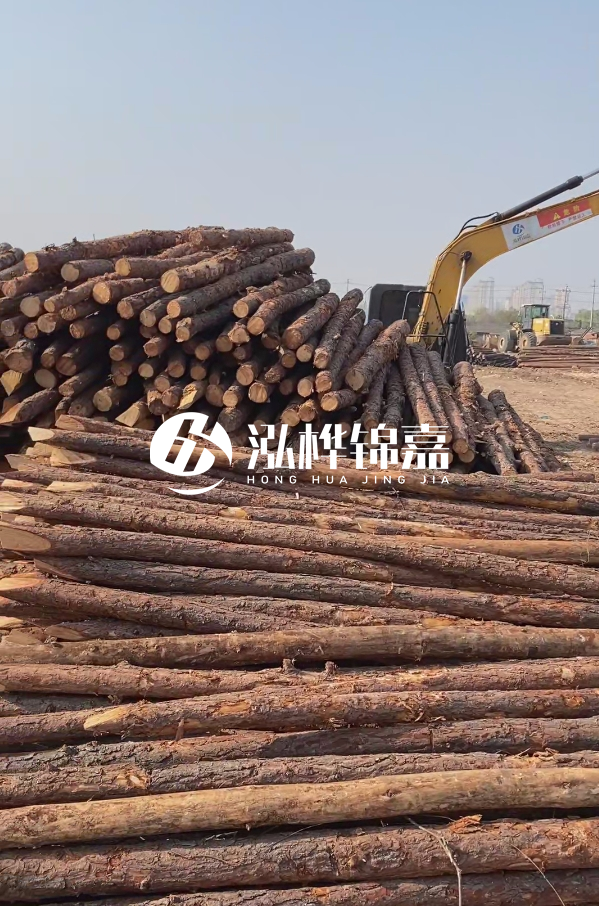 油松用于打樁木到底好不好？讓專業(yè)打樁隊(duì)告訴你！