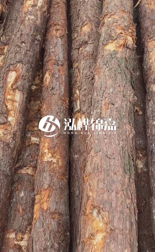 浙江地區(qū)大量供應(yīng)松木樁，源頭廠家在哪里？