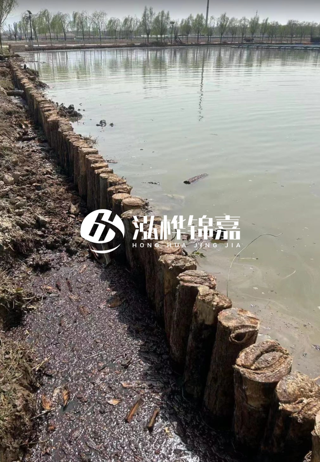 松木樁為什么要一根一根挨著打？秘密在這里！看完恍然大悟！