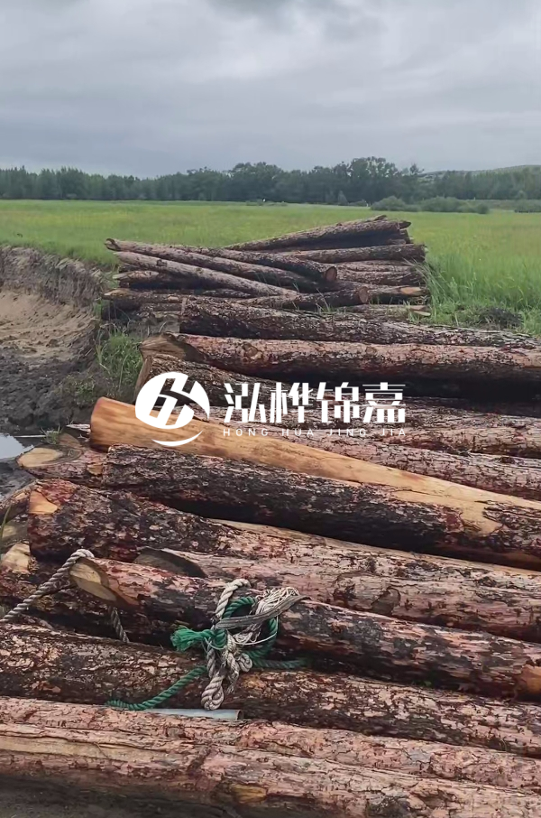 打樁木樁的選購標準是什么？材質(zhì)、尺寸與強度，哪些標準不能忽視？