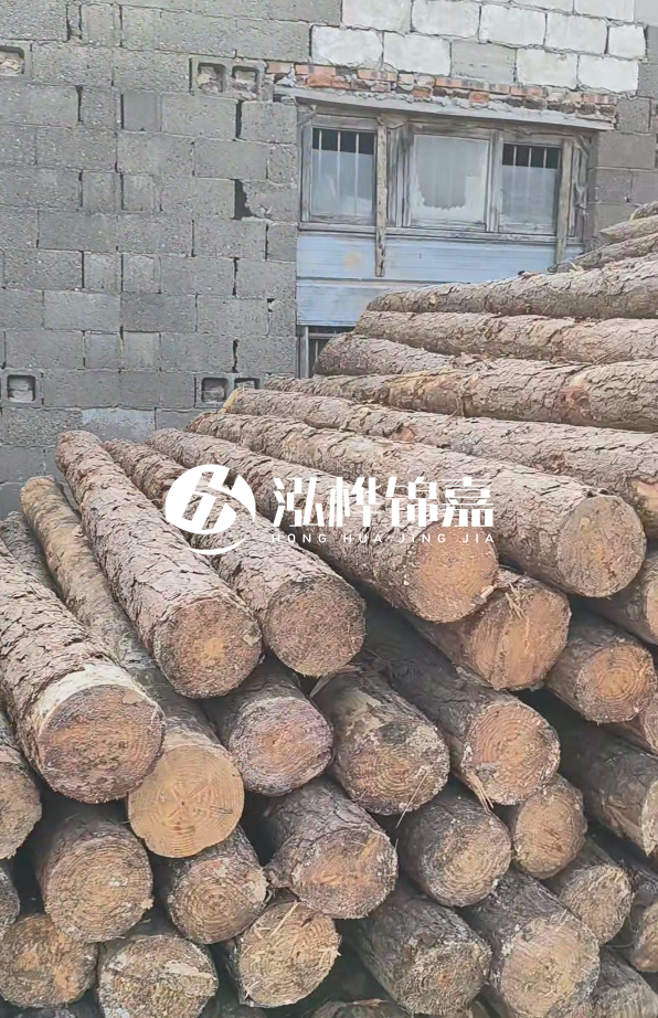 3米松木樁多少錢一根？14公分松木樁價格是多少？