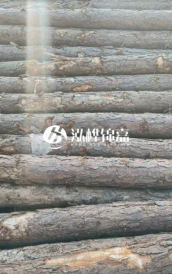 松木樁5米100mm一根多少錢-5米140mm多少錢？