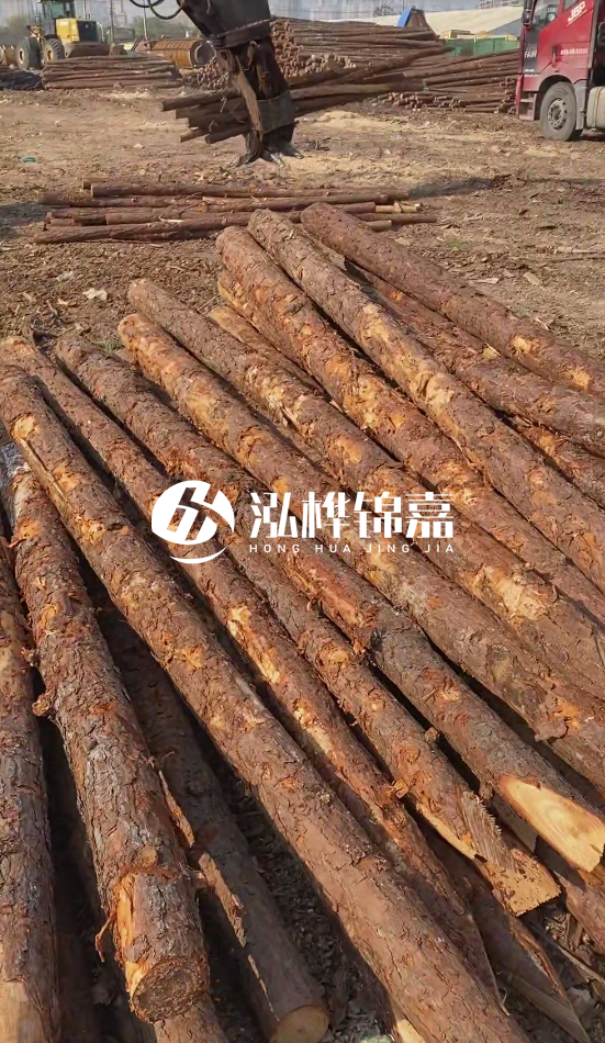 7米松木樁8一12公分價格？直徑15公分松木樁多少錢？