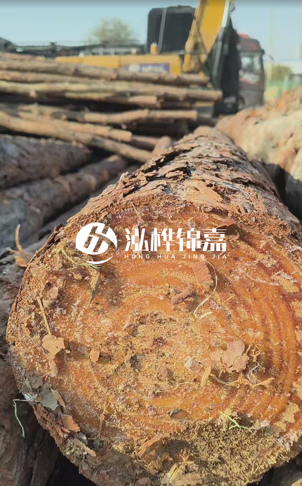 杉木樁價(jià)格多少錢一方-3米直徑14公分杉木樁價(jià)格？