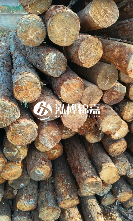 油松3米12公分多少錢(qián)一根？油松4米12公分多少錢(qián)一根？