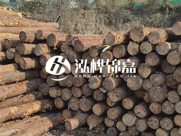 落葉松木材的主要產(chǎn)地在哪里？為什么比其他松木更耐腐蝕？