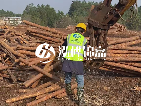 安徽松木樁選哪家-5米小頭10-12公分松木樁多少錢(qián)？