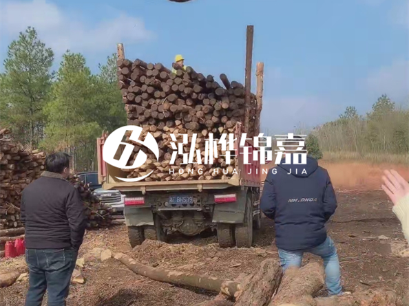 防腐木樁價(jià)格比普通木樁貴多少？防腐木樁有哪些處理方式？