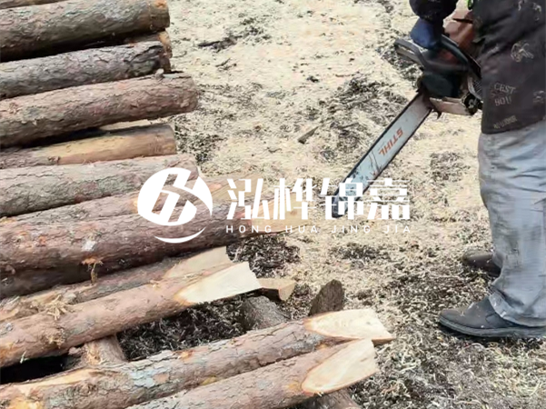 杉木樁批發(fā)廠家哪家好？產(chǎn)地直供渠道推薦！