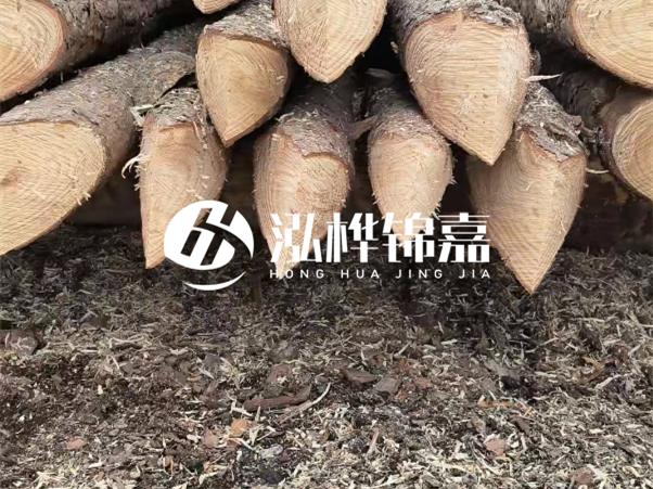 打樁木樁與鋼樁相比有哪些優(yōu)缺點？如何進行后期維護？