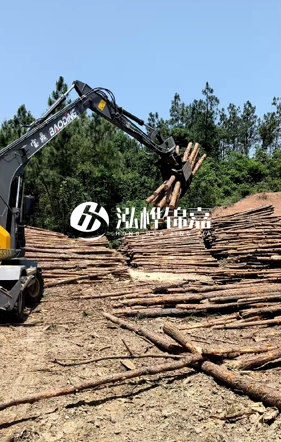 云南4米松木樁批發(fā)價格多少-4米小頭13-15直徑多少錢一根？