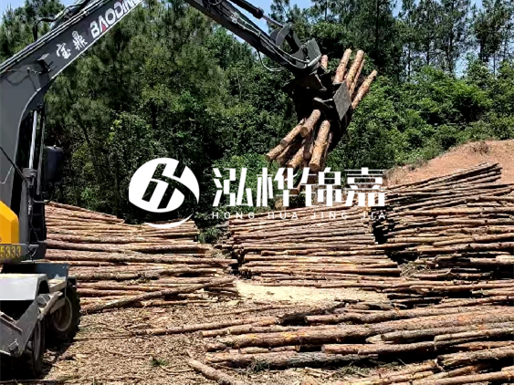 3米松木樁小頭10公分多少錢一根？大頭10公分又是多少錢？