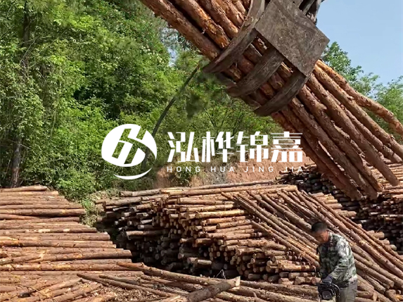 哪里能買到優(yōu)質(zhì) 3 米松木樁？長沙有松木樁批發(fā)工廠嗎？