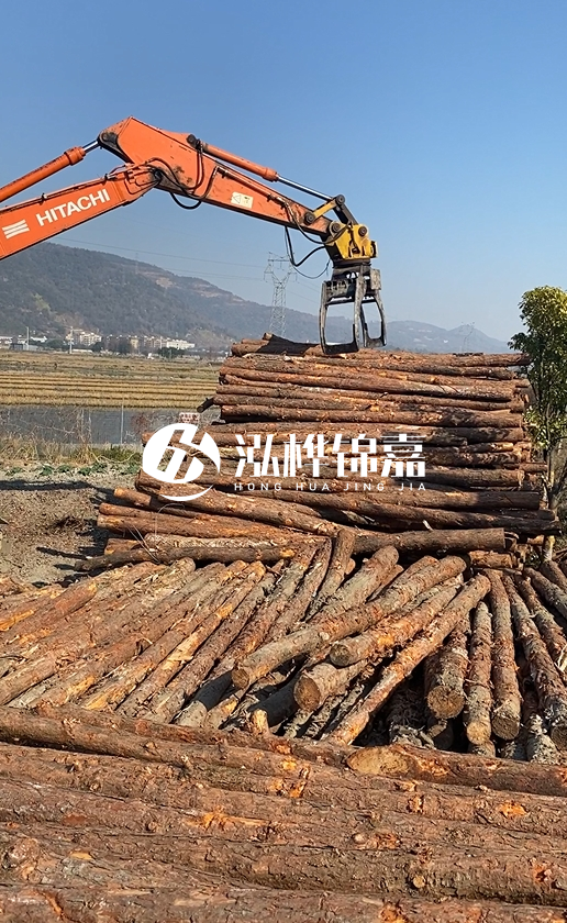 帶皮松木樁的防腐效果如何？和不帶皮松木樁價格差異有多大？