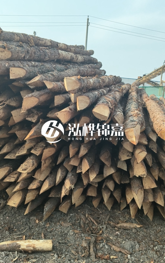 落葉松木材價格多少錢一立方？油松木材多少錢一立方？