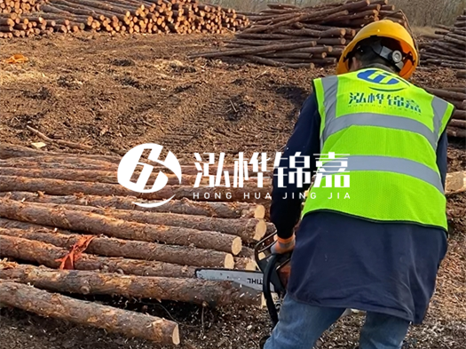 哪些木樁廠家能提供快速定制服務(wù)？哪些木樁廠家在國內(nèi)有多個(gè)生產(chǎn)基地？