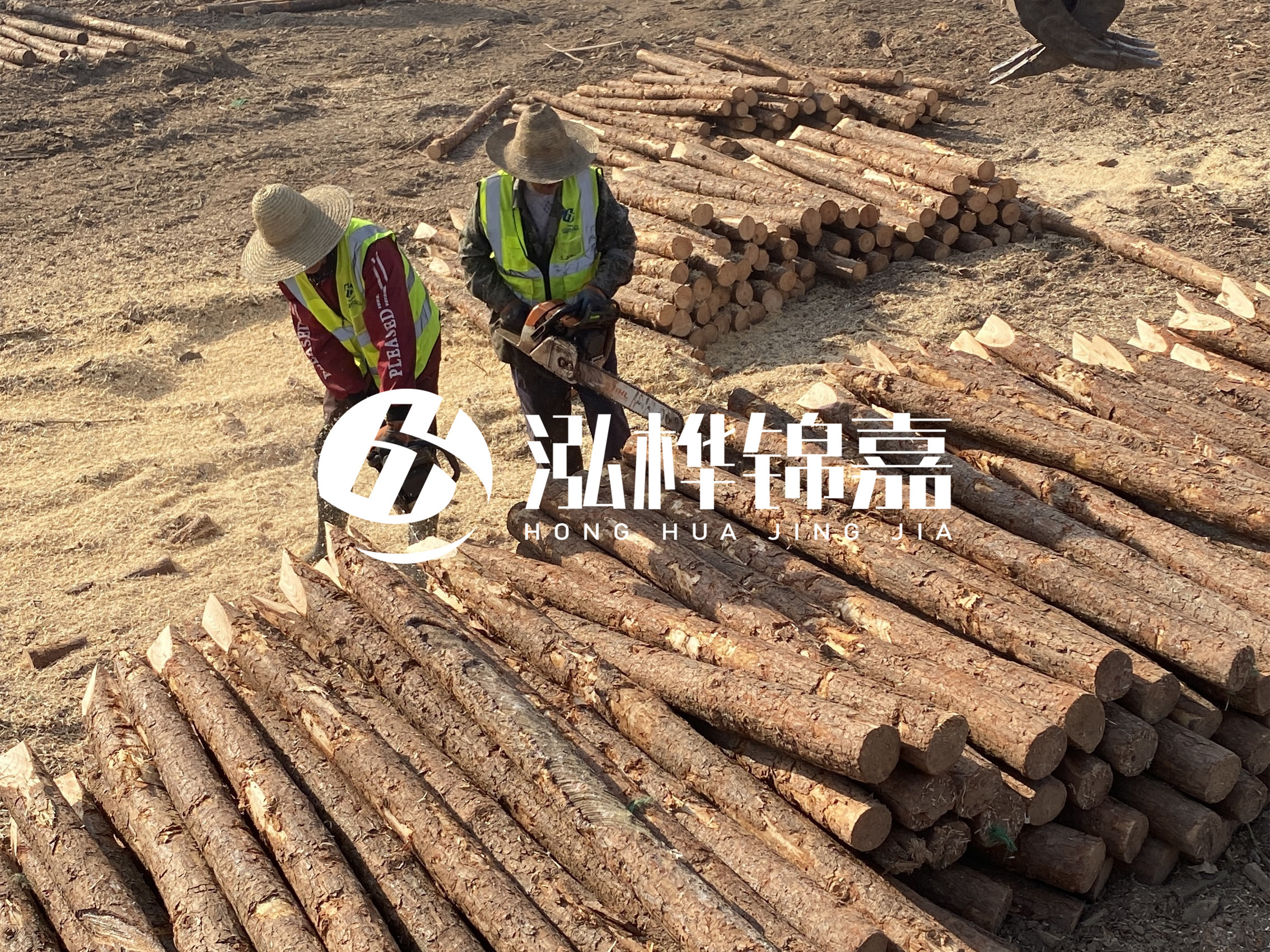河北打樁木廠家主要生產(chǎn)哪些材質(zhì)的打樁木？產(chǎn)品有哪些規(guī)格？