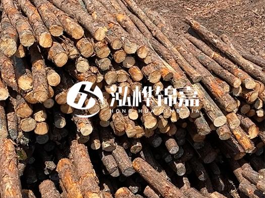 江西有哪些松木樁生產(chǎn)廠家？松木樁廠在什么位置？