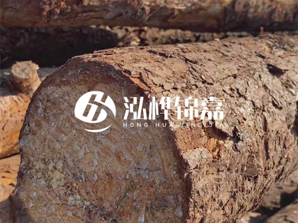 松木樁如何做到千年不腐的？松木樁打地基耐用年限揭秘