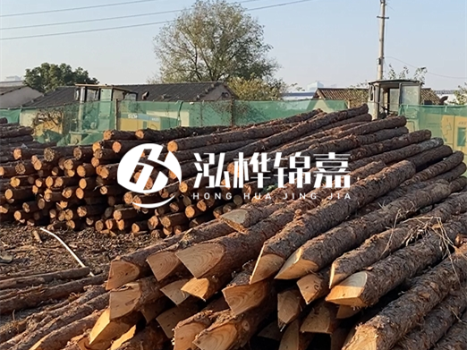江西松木樁批發(fā)廠家泓樺錦嘉 - 松木廠家批發(fā)電話地址？