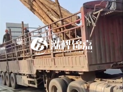 4米長杉木10公分價格-4.5米直徑15cm 杉木多少錢？