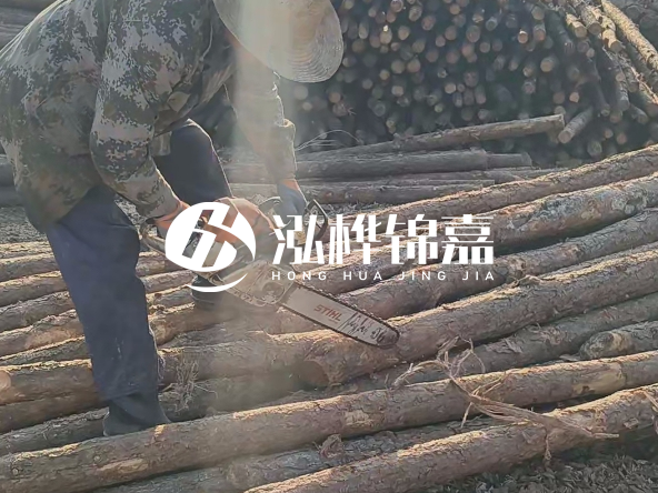 廣東打樁木源頭廠家泓樺錦嘉 - 如何選擇適合特定邊坡的松木樁？
