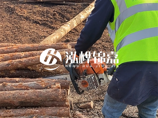 河道打木樁多少錢一根？5米直徑10松木樁打樁多少錢？