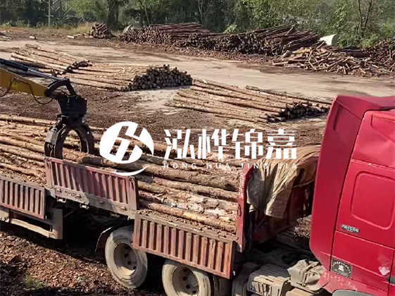 四川松木樁廠家泓樺錦嘉-哪一種打樁木最便宜？