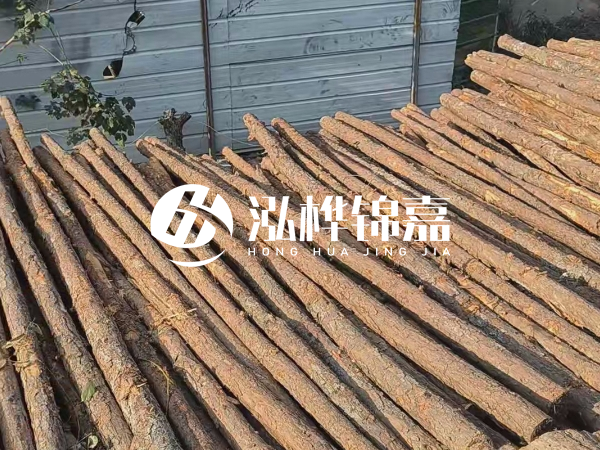 松木樁打樁后清淤怎么處理？有沒有全包的公司？