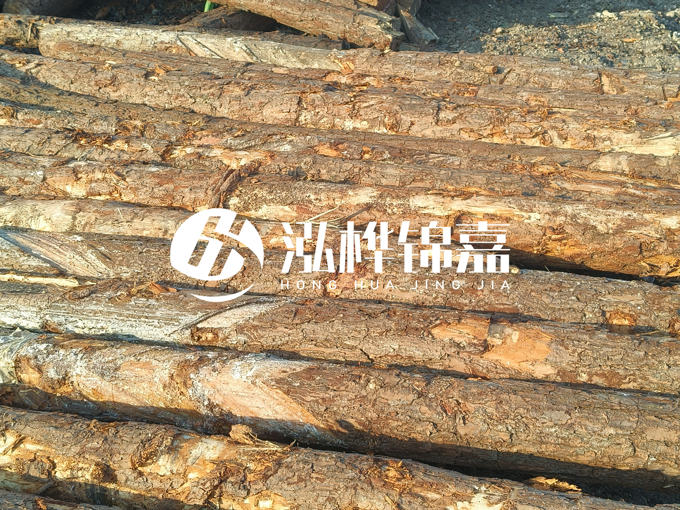 河道木樁的含水率過高會有什么問題？怎么檢查松木樁含水率？