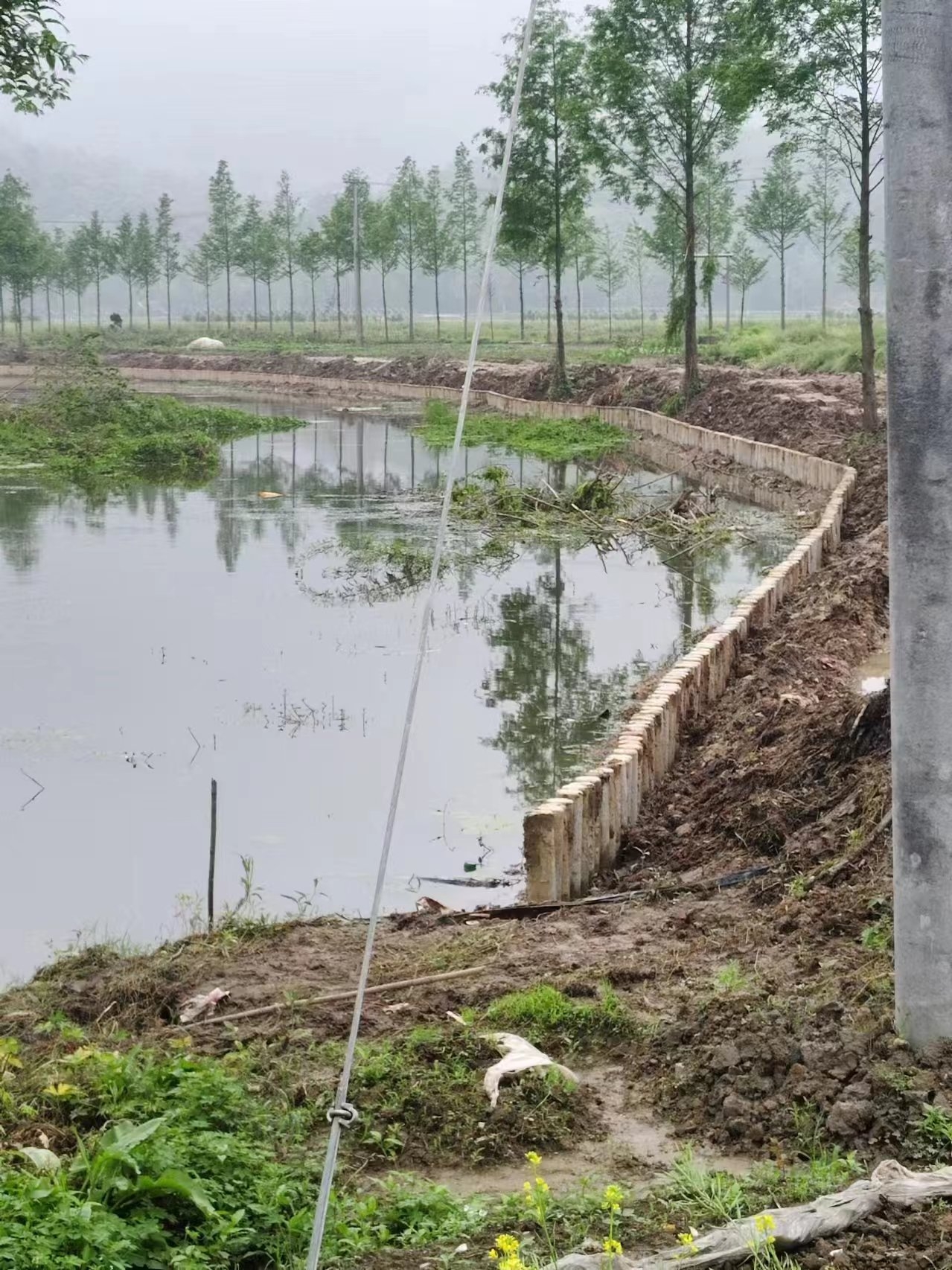 湖南水泥樁施工隊泓樺錦嘉-打水泥樁需要注意哪些事項？