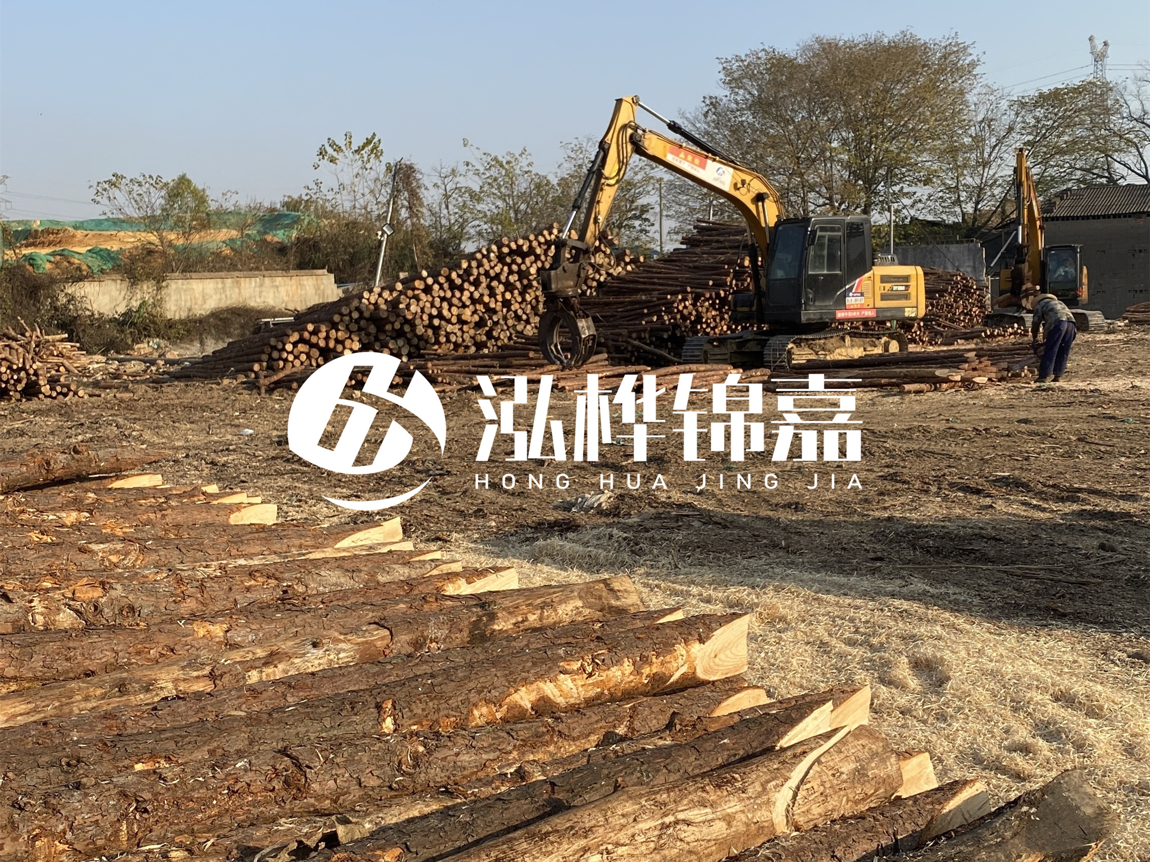 松木樁批發(fā)廠家泓樺錦嘉-松木樁廠家能開發(fā)票嗎？