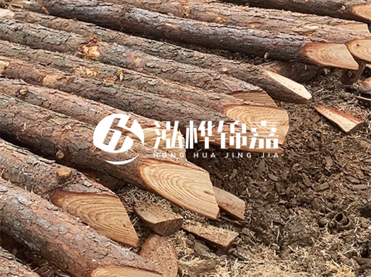 松木樁廠家泓樺錦嘉-河道兩邊打樁是干嘛的？