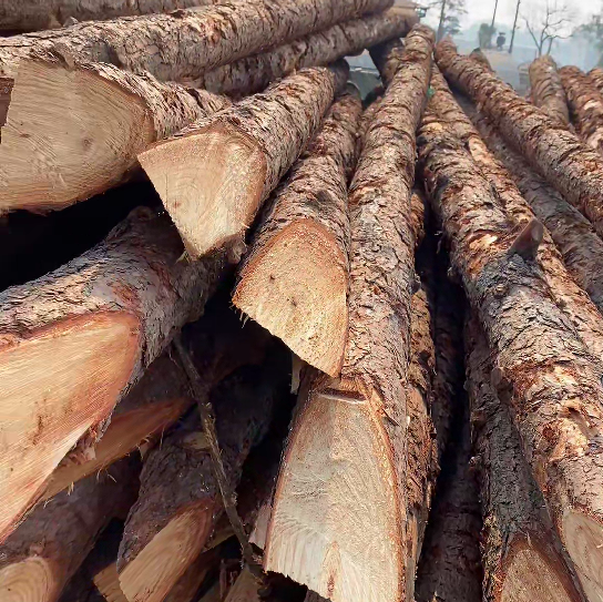 松木樁施工隊(duì)泓樺錦嘉 - 原木松木樁怎么辨別是否為實(shí)心？