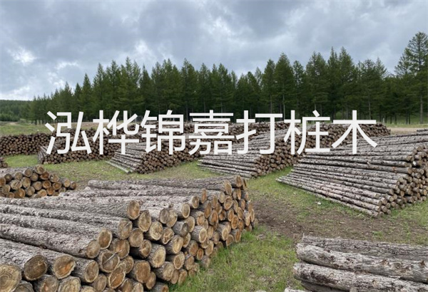 預(yù)制松木樁施工工藝：優(yōu)質(zhì)材料，高效快速，堅(jiān)固耐用