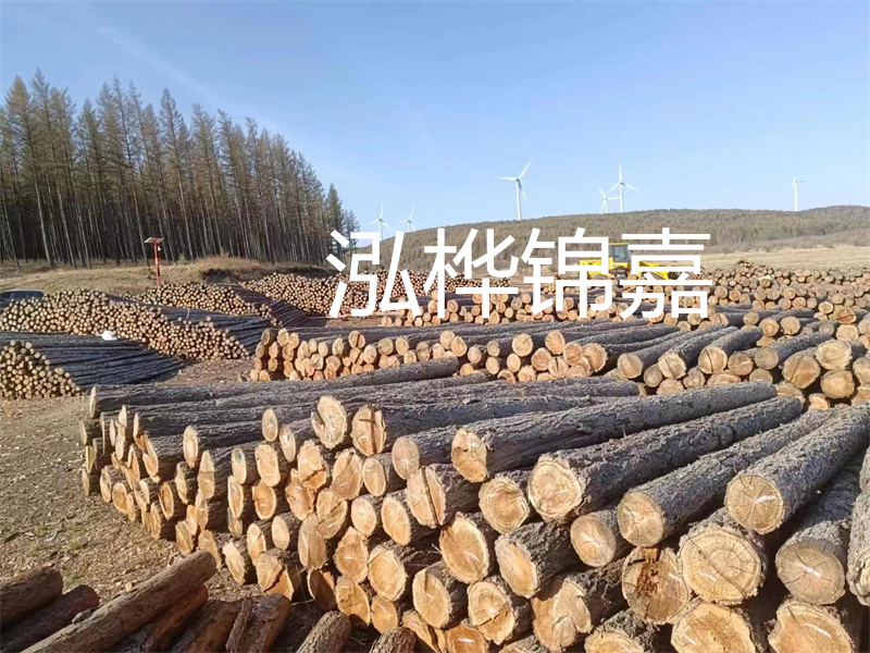 用路基松木樁施工方案提升工程質(zhì)量描述：了解路基松木樁施工方案的重要性，提高工程質(zhì)量關(guān)鍵詞：路基松木樁，施工方案，工程質(zhì)量