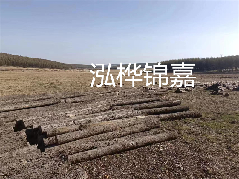 鄂州松木樁哪里好？推薦泓樺錦嘉松木樁業(yè)！